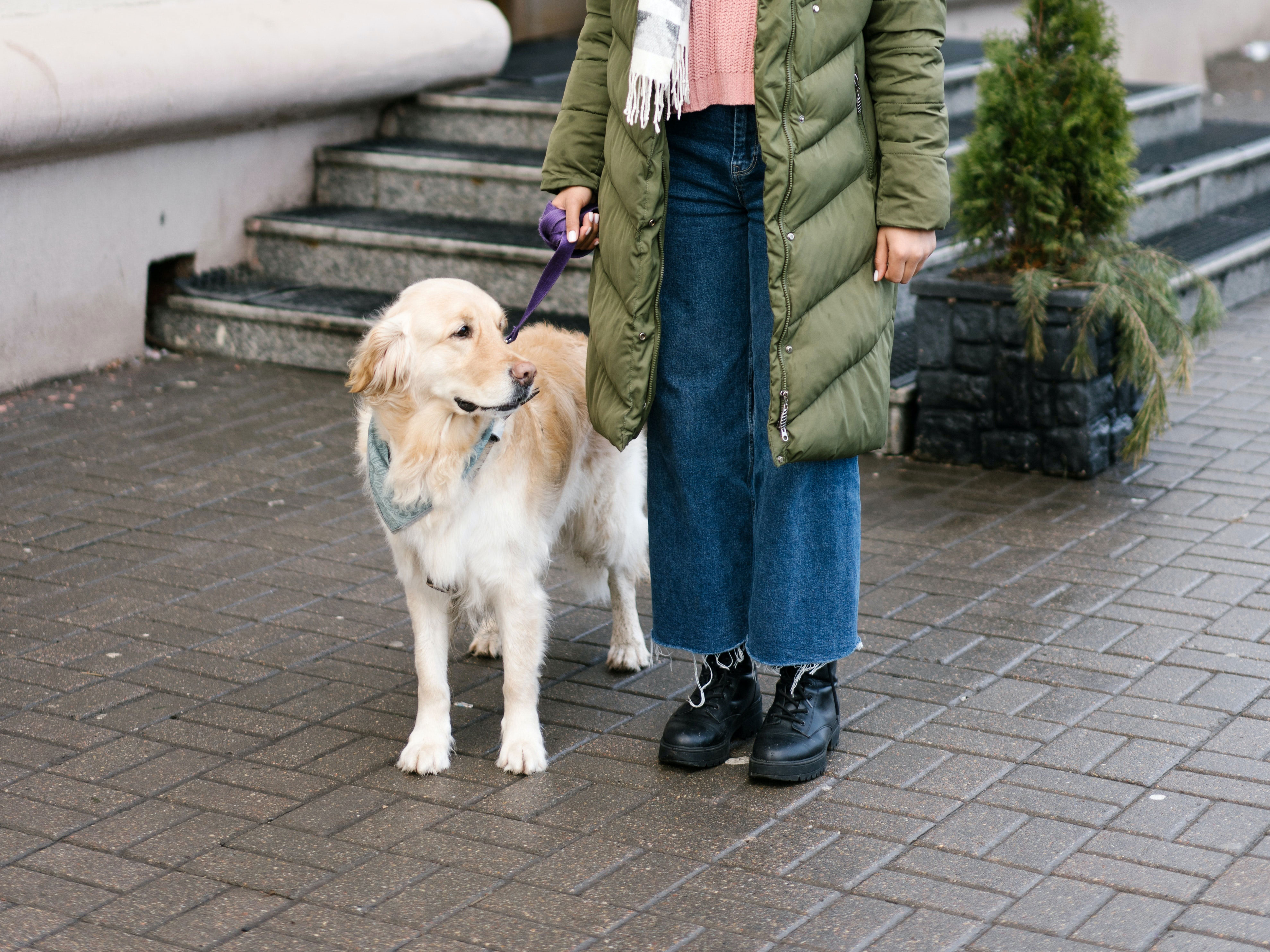 Personne malvoyante accompagnée de son chien guide